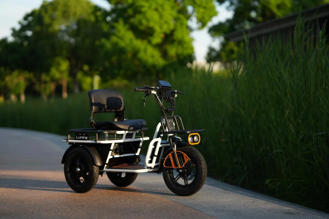 木々に囲まれた場所に停車するクリームカラーのルミングⅡ